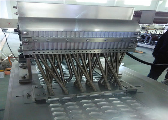 High Output Stainless Steel Automatic Blister Packing Machine with Shaking Feeder