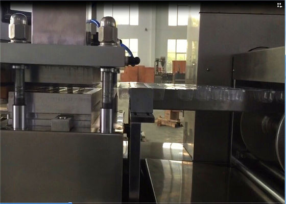 Disposable Plates / Trays Plastic Thermoforming Machine Fully Automatic