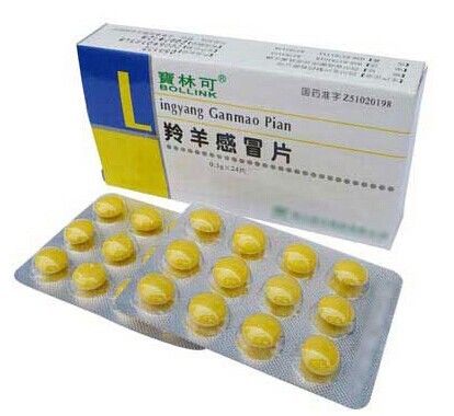 Milk Tablet Blisters Carton Box Packing machine Automatic Cartoning Machine Factory Price