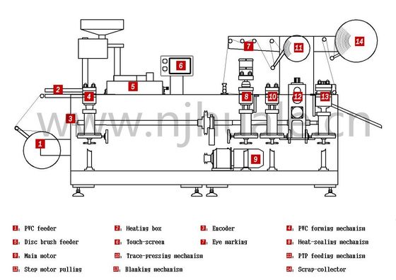 DPP-350A large Automatic Blister Packing Machine For Capsule / Tablet / Pill
