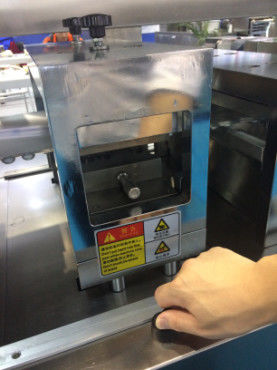 DPP-260A AL / PVC Tablet Capsule Blister Packing Machine