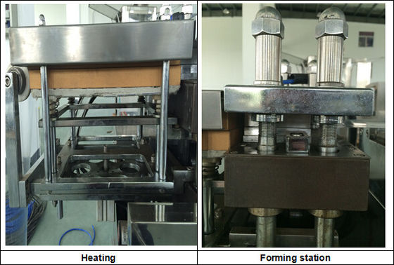 Flat Type Small Tablet Blister Packaging Machine CE GMP Approved