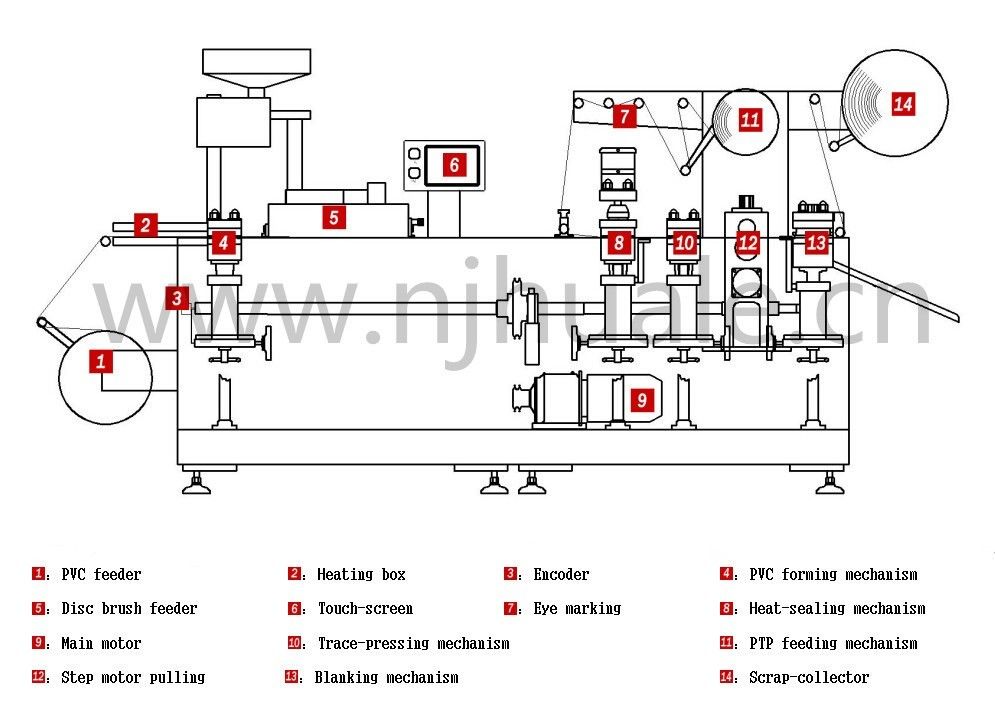 DPP-350A large Automatic Blister Packing Machine For Capsule / Tablet / Pill