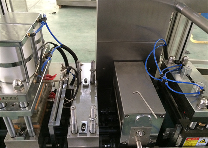 Manual Feeding System Pharmaceutical Blister Packaging Machines PLC Control
