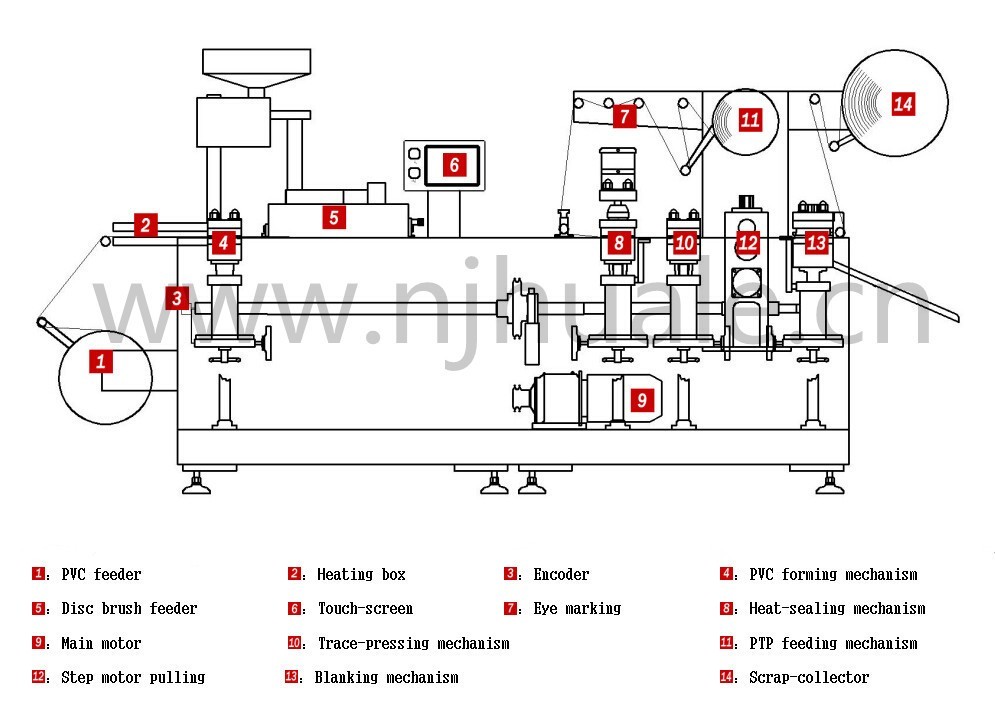 DPP-350A large Automatic Blister Packing Machine For Capsule / Tablet / Pill