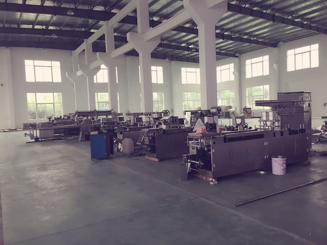 DPP - 250E Cold Aluminum foil alu alu packing machine for Capsules / tablets / Pills
